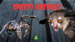 10 Creepiest and Strangest Animals in the World