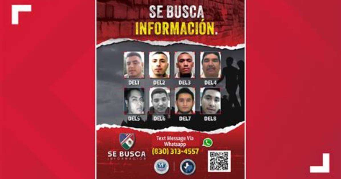 5 Mexican Students Linked to Drug Cartel: Investigations