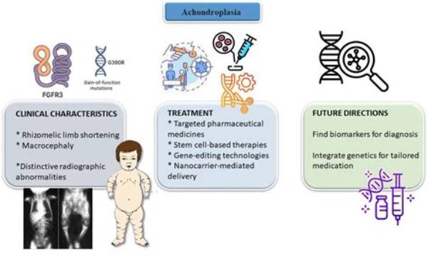 A Comprehensive Guide to Achondroplasia