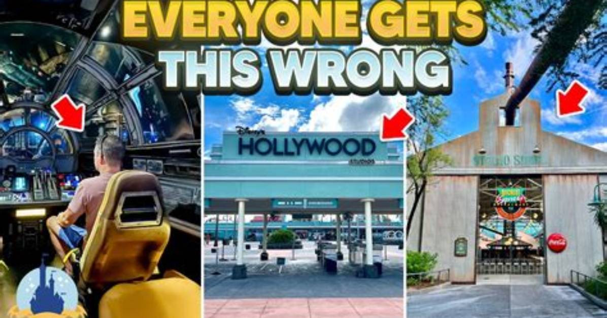A Comprehensive Guide to the Hollywood Powerhouse