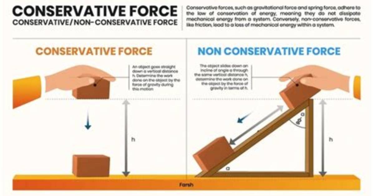 A Conservative Force in the Shadows
