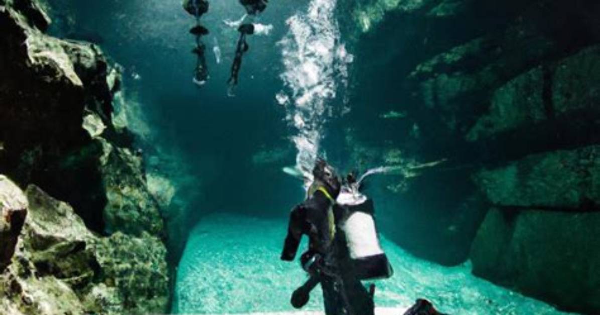A Deep Dive for Andi13 Enthusiasts