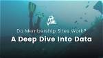 A Deep Dive into Its Website
