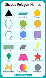 A Guide to Their Iconic Shape