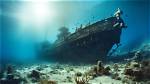 A Journey into Billion-Dollar Discoveries