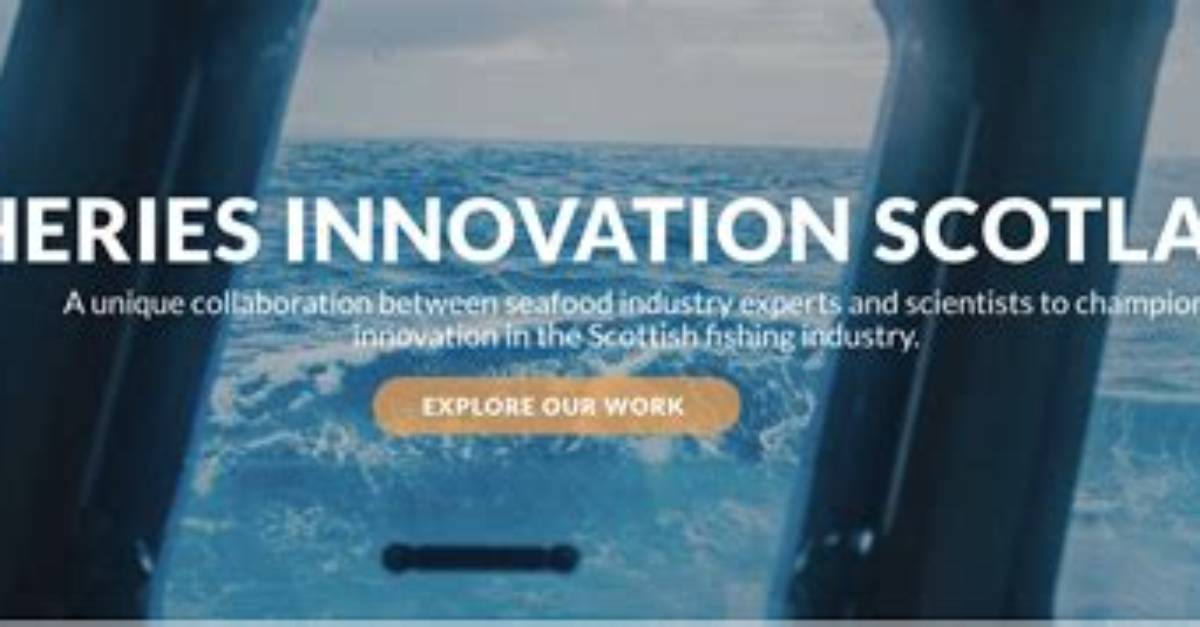 A Journey into Fishing Innovation