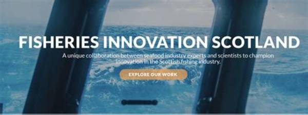 A Journey into Fishing Innovation