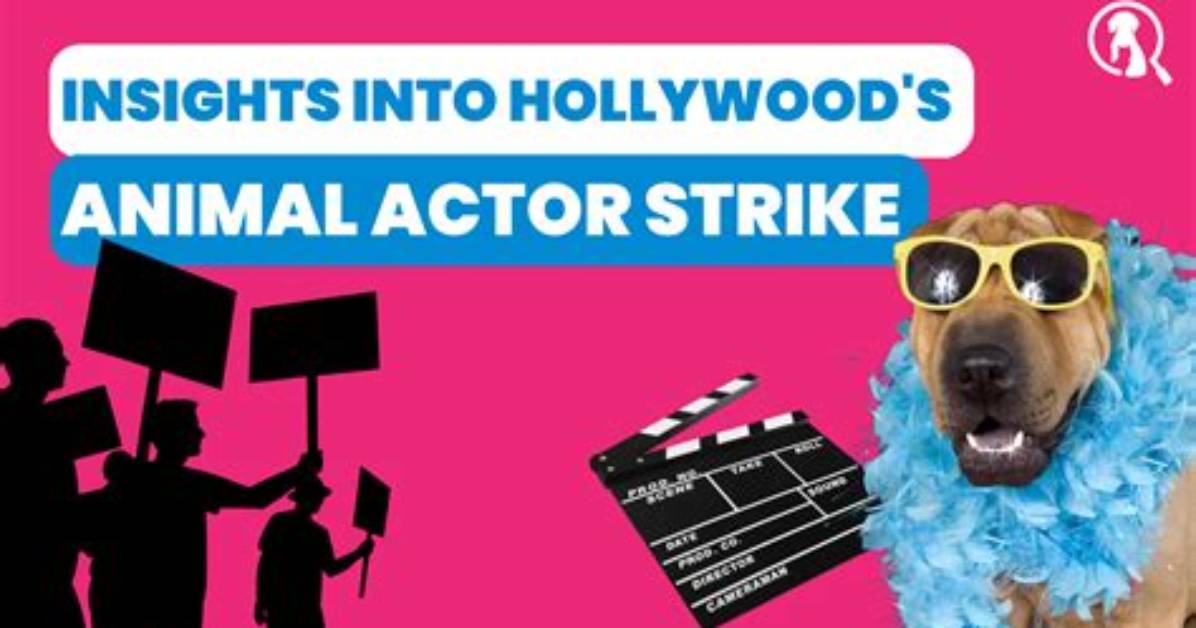 A Journey into Hollywood Legacy and Animal Advocacy