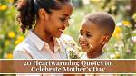A Mother's Warmth: the Heartwarming Tale of Jackerman