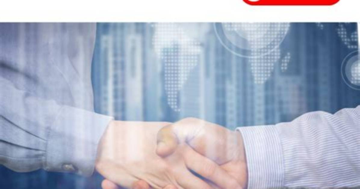 A Partner with Unrivaled Insights