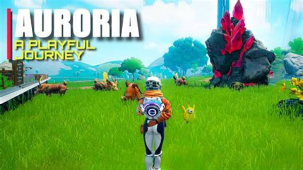 A Playful Journey of Discovery