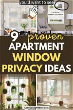 A Window into Privacy, Love, and Social Media Influence
