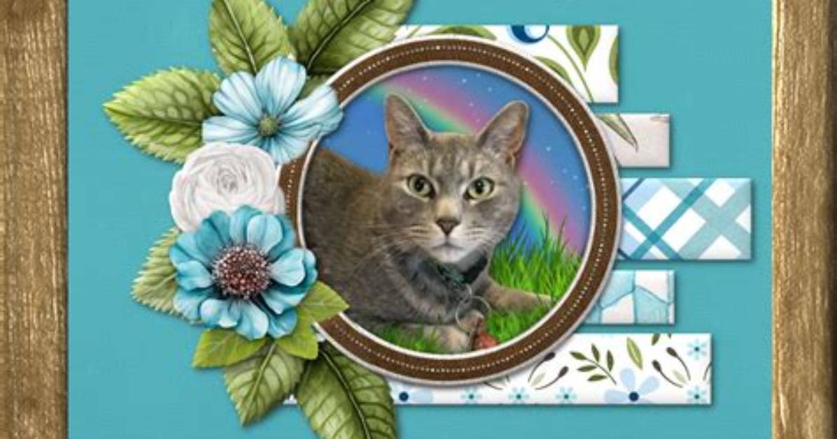 Acknowledging the Life and Memory of Sawyer Fink: Obituary and Tribute