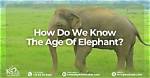 Age and Facts to Know