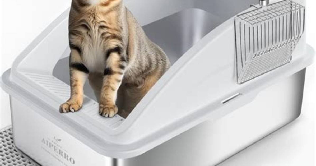 Aiperro Litter Box: the Ultimate Solution for Pet Owners