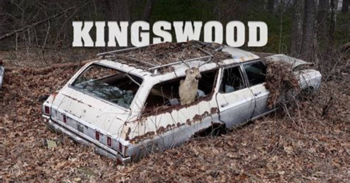 Amazing Deals at Steve's Junkyard: Find Hidden Treasures Today!