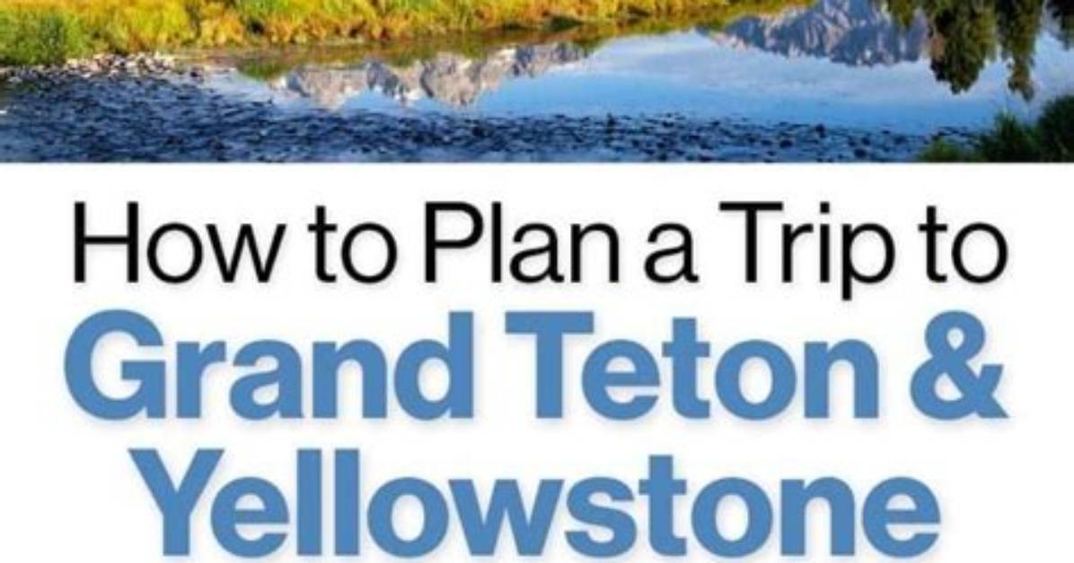 An Enlightening Journey in "Yellowstone"