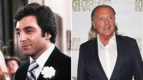 Armand Assante's Health: Unveiling Unseen Truths