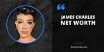Astonishing Net Worth of James Charles: a Comprehensive Look