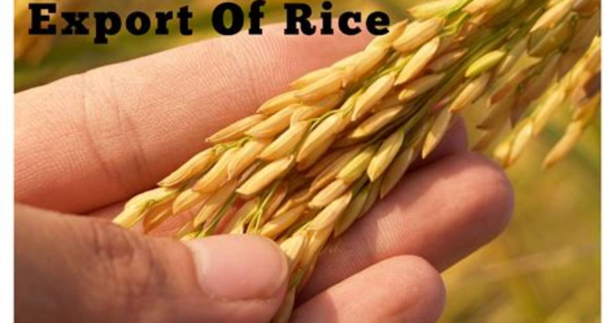 Ban on Broken Rice Export Imposed After Recent Rise in Exports: Centre