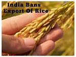 Ban on Broken Rice Export Imposed After Recent Rise in Exports: Centre