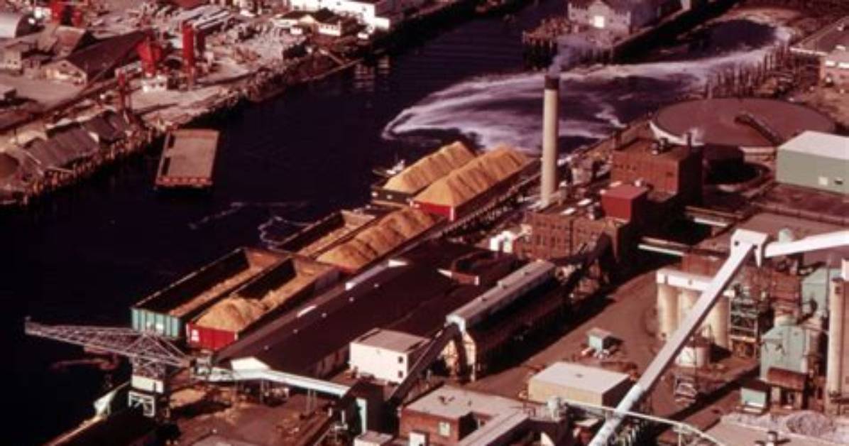 Bellingham, Washington: a Deep Dive into Its Population Dynamics