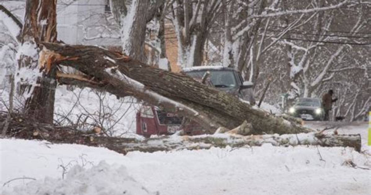 Blizzard Aftermath: Pennsylvania Prepares for Recovery