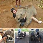 Captivating Moments: the Heartwarming Story of a Kid and His Mom on Cctv