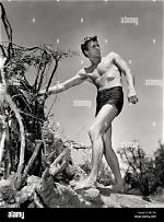 Clint Eastwood in 1955: the Rise of an Icon