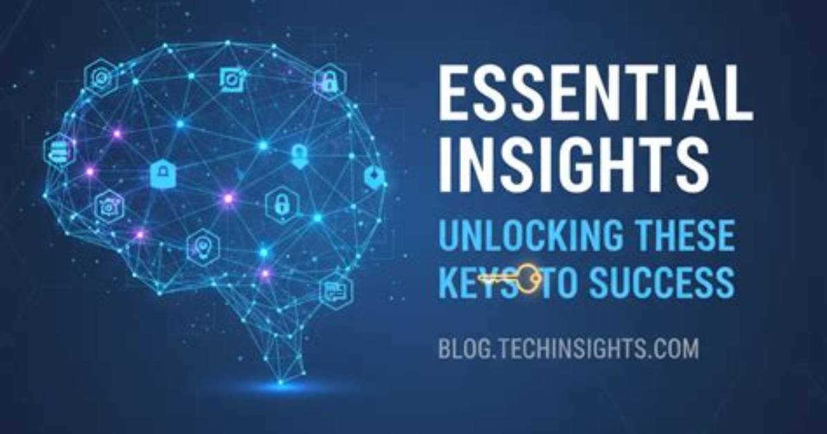 Comprehensive Nikicat Soru: Unlocking Essential Insights