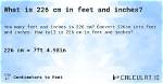 Convert 226 Centimeters to Feet: Quick and Easy Guide
