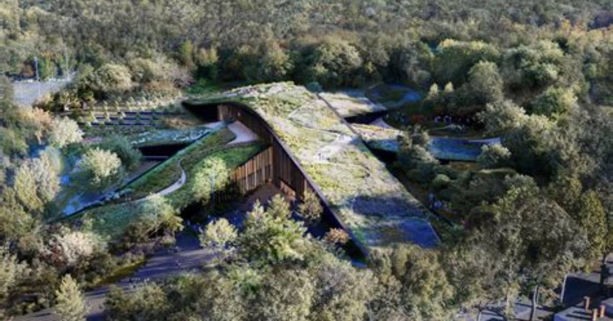 Cooper Ingels: a Pioneer in Sustainable Design