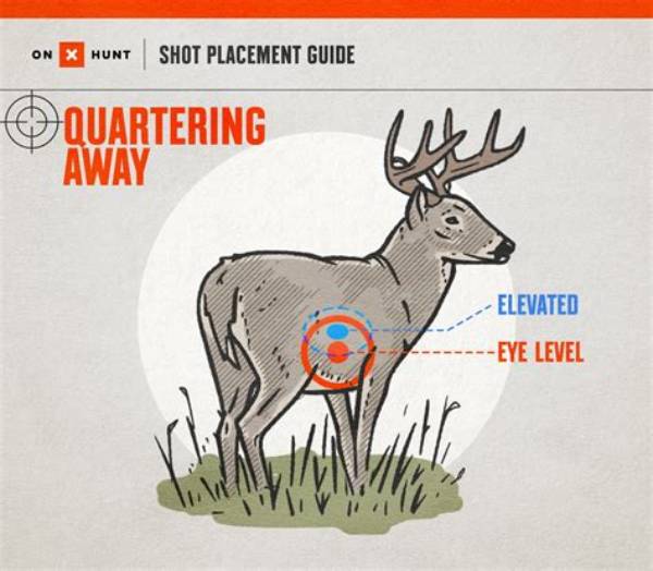 Deer Tail Twitching After Shot