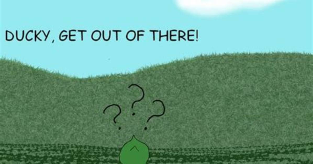 Did Ducky Really Die: Questions Answered