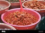 Discover the Culinary Secrets of Cambodian Fermented Fish Paste: Sarath Ton Unraveled