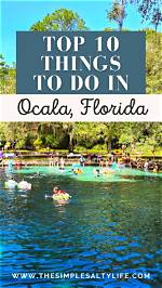 Discover the Hidden Gems of Ocala, Florida