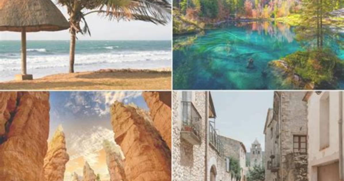 Discover the Hidden Gems of Skip the Games Sarasota Florida