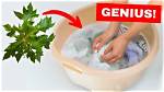 Discover the Secret to Laundry Perfection with Nikki Mars Washing Machines