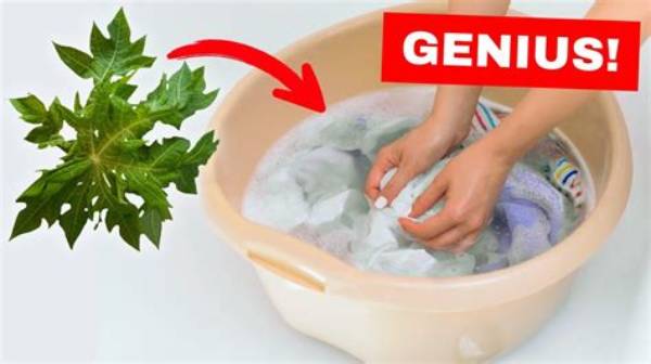 Discover the Secret to Laundry Perfection with Nikki Mars Washing Machines