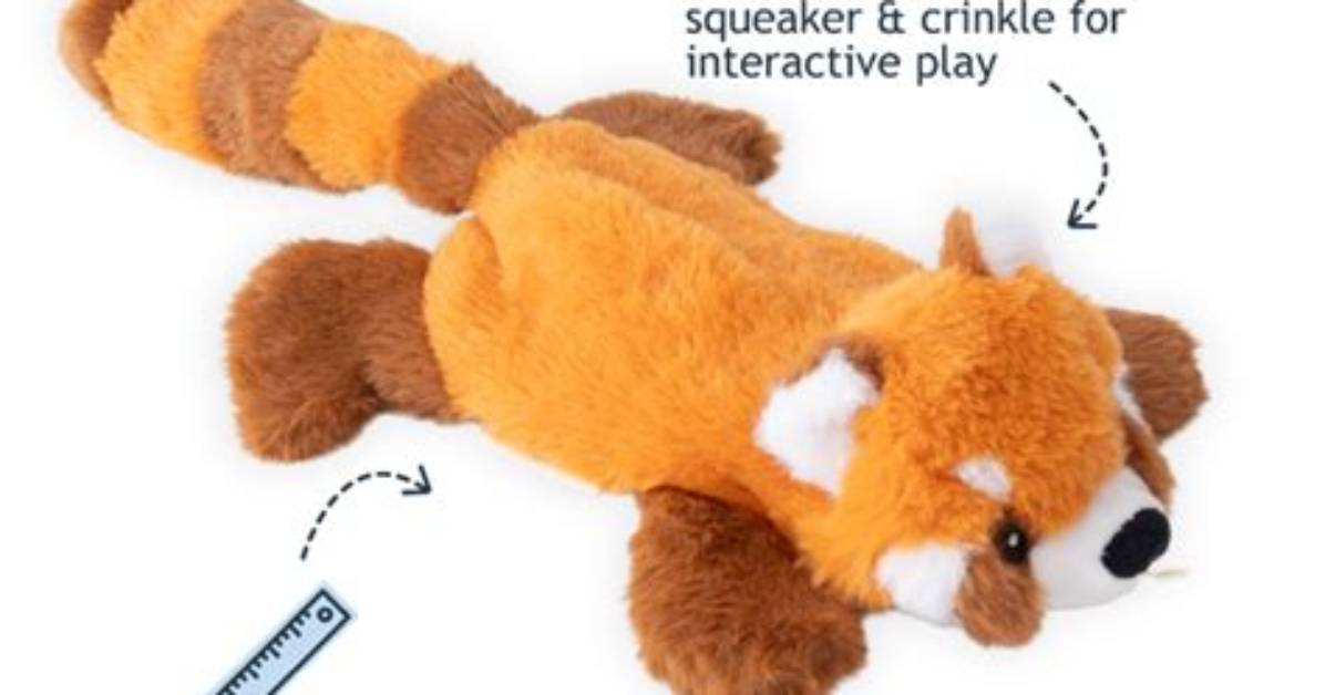 Discover Your Dream Pet: Buy Red Panda Today