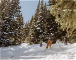 Discoveries and Insights for the Skiing Enthusiast