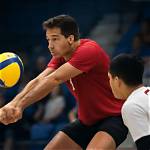 Discoveries and Insights for Volleyball Enthusiasts