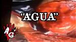 Discovering Quieo Agua: the Essence of Water in Our Lives