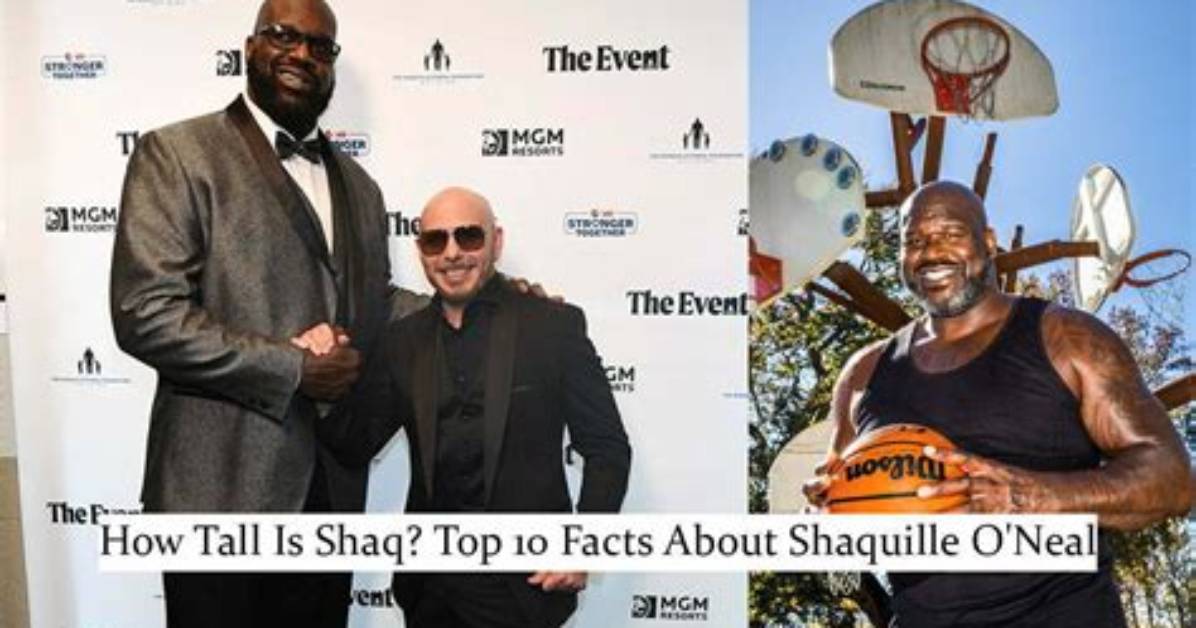 Discovering Shaquille O'neal: the Colossal Height of a Legend