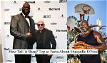Discovering Shaquille O'neal: the Colossal Height of a Legend