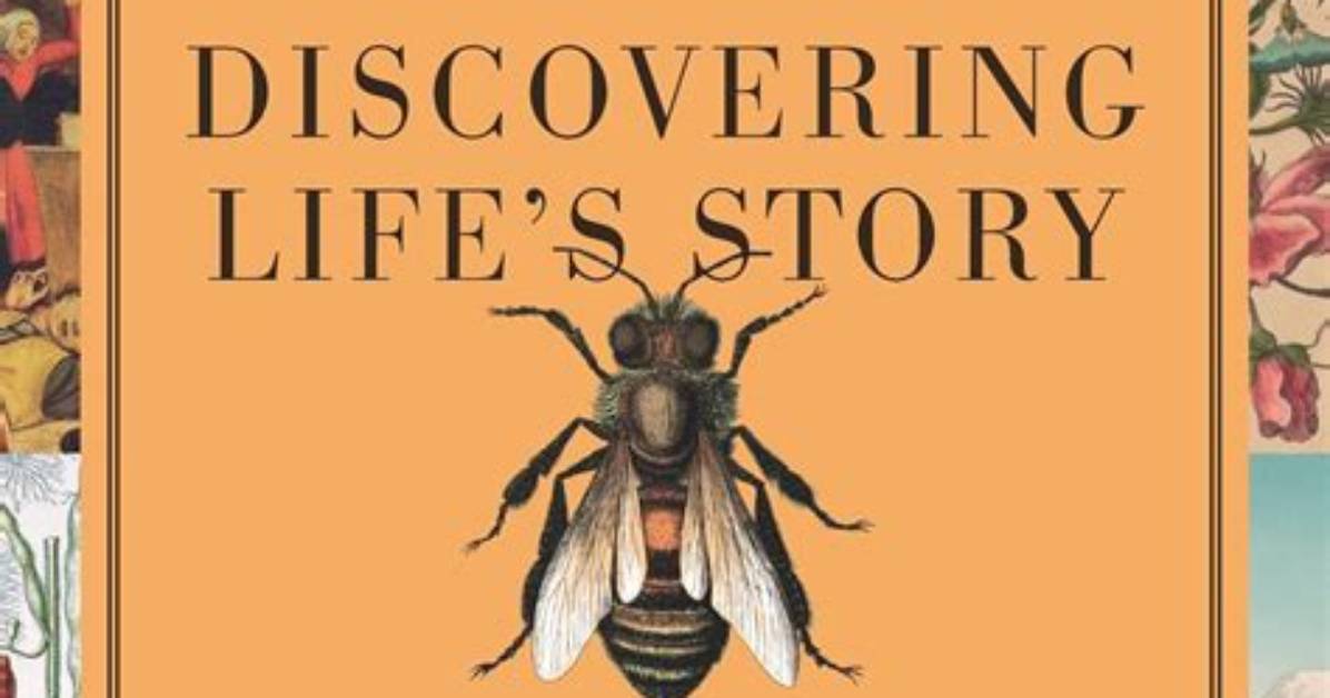 Discovering the Life and Legacy of Robyn Minnette