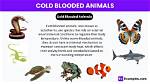 Do Cold-Blooded Reptiles Regulate Their Body Temperatures?