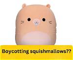 Do Squishmallows Support Israel? Uncovering the Truth