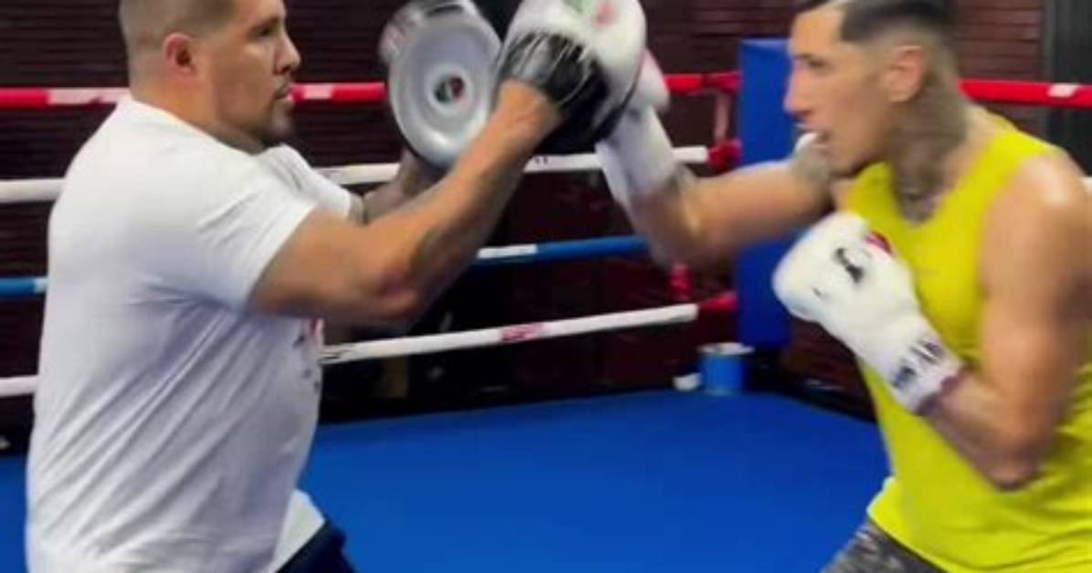 Does Boxing Legend Fernando Vargas Have a Son? - Uncovering the Truth