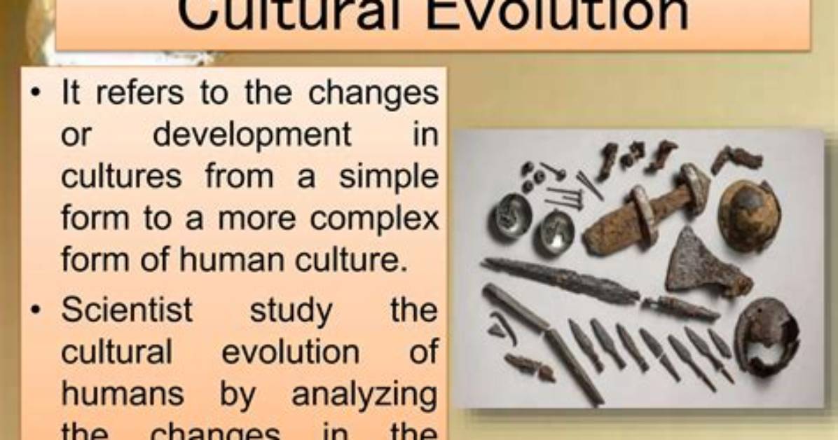 Donny and the Evolution of a Cultural Phenomenon